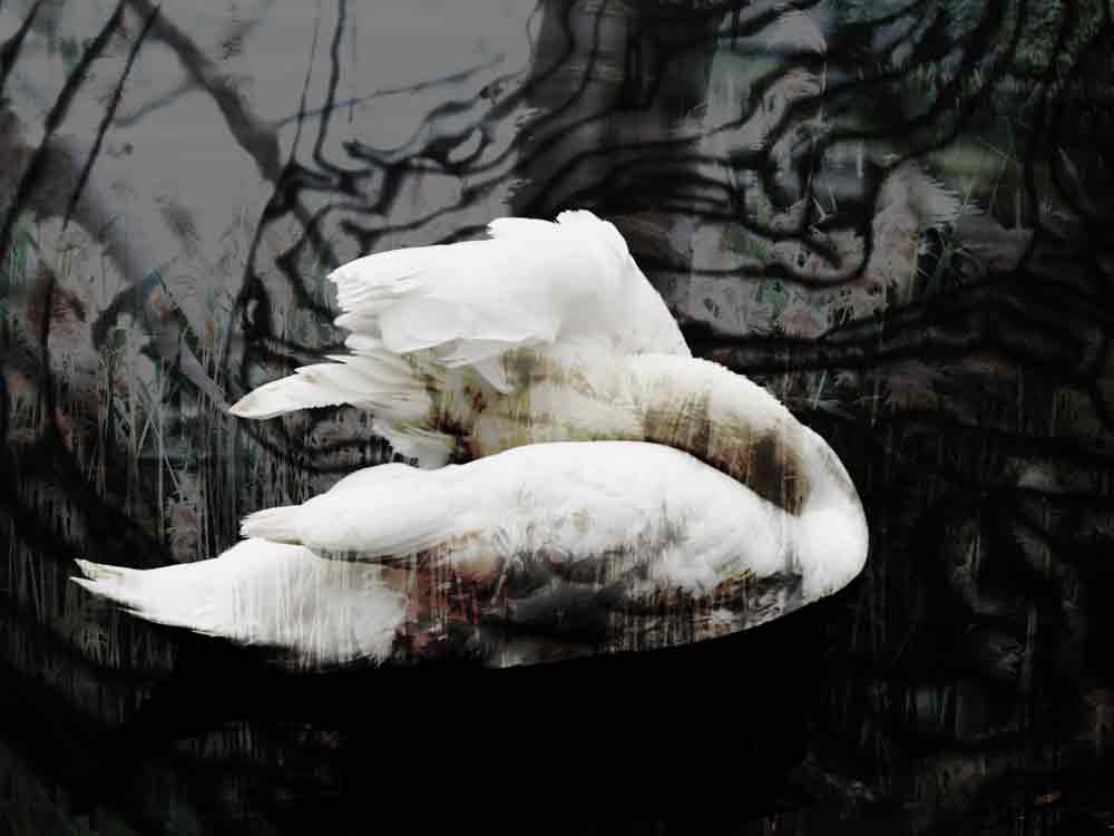 Dreaming, original art by Danish artist Nicole Kudera
